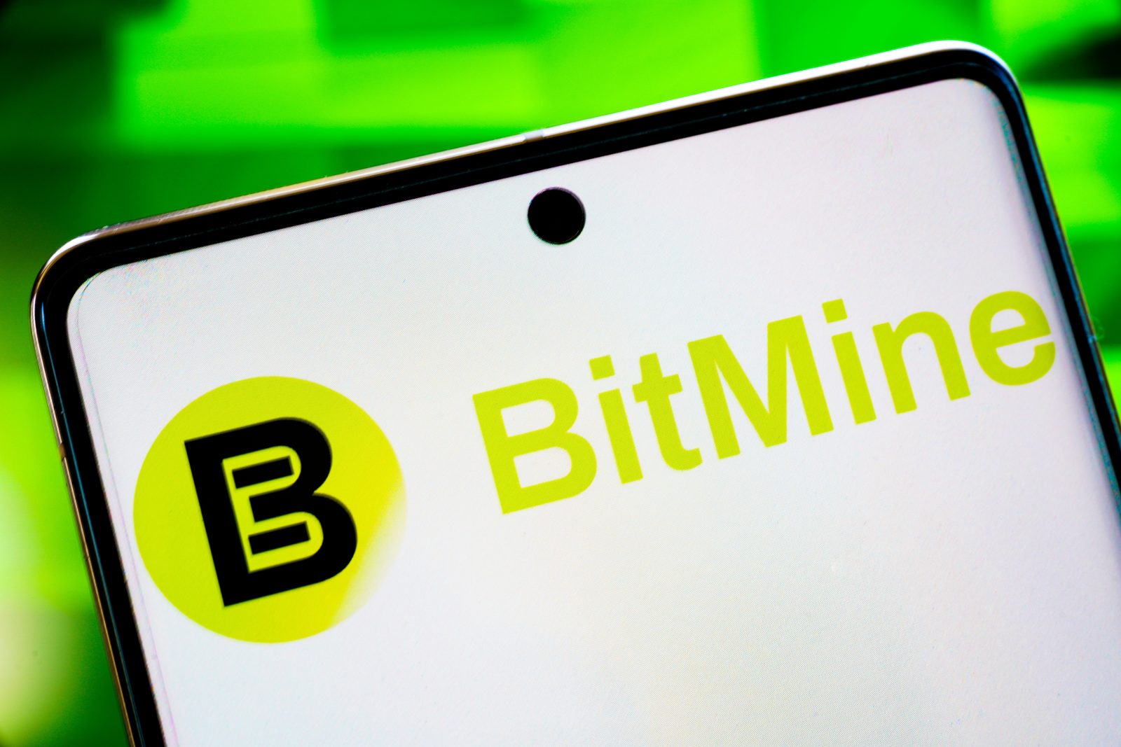 bitmine
